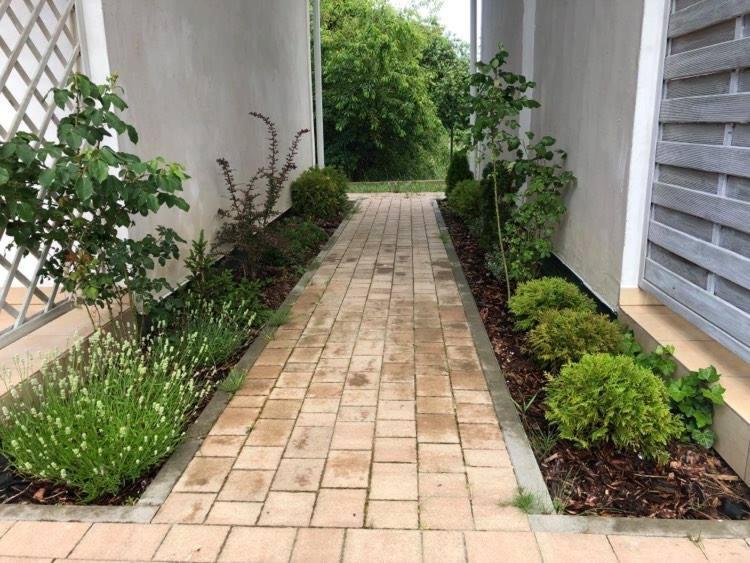 Biale Domki Jastrzębia Góra Extérieur photo